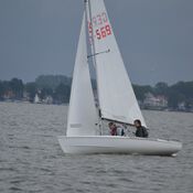 Herbstwettfahrten Steinhude steinhude-DSC-0064