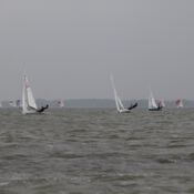 Herbstwettfahrten Steinhude steinhude-IMG-3534