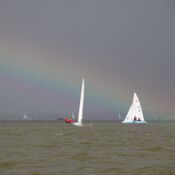 Herbstwettfahrten Steinhude steinhude-IMG-4100