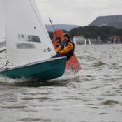 Herbstwettfahrten Steinhude steinhude-IMG-4445