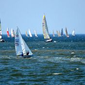 North Sea Regatta 5185