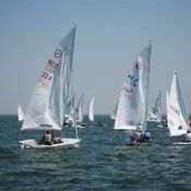 North Sea Regatta 4805