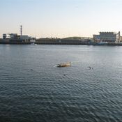 North Sea Regatta 4812