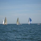 North Sea Regatta 4816