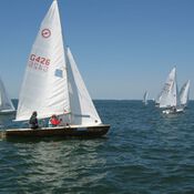 North Sea Regatta 4846