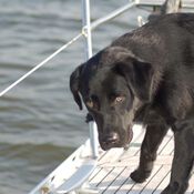 Training Lemmer 4464