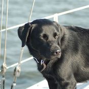 Training Lemmer 4468