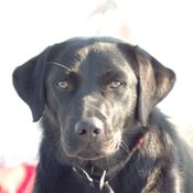 Training Lemmer 4474