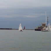 North Sea Regatta 2966