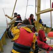 North Sea Regatta 2991