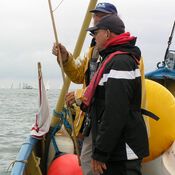 North Sea Regatta 2996