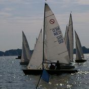 Bad Zwischenahn 2541