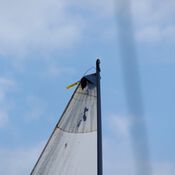 EK 2013 - Tjeukemeer - Fotos door Liesbeth EK2013-L-09638