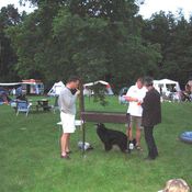 NK Almeerderzand 911