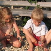 NK Almeerderzand 978