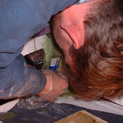 Renovatie NED268 358