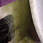 Renovatie NED268 360