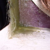 Renovatie NED268 361