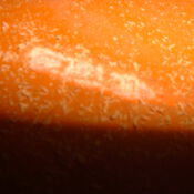 Renovatie NED268 453