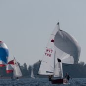 Spiegelplas 2017 _1230724 (Medium)