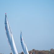 Spiegelplas 2017 _1230596 (Medium)