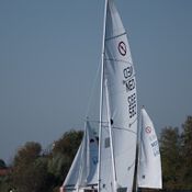 Spiegelplas 2017 _1230500 (Medium)