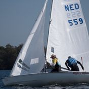 Spiegelplas 2017 _1230613 (Medium)