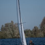 Spiegelplas 2017 _1230484 (Medium)