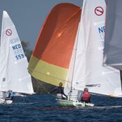 Spiegelplas 2017 _1230630 (Medium)