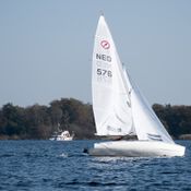 Spiegelplas 2017 _1230583 (Medium)