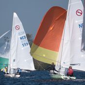 Spiegelplas 2017 _1230631 (Medium)