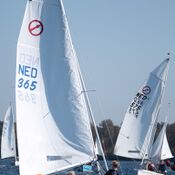 Spiegelplas 2017 _1230527 (Medium)