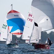 Spiegelplas 2017 _1230730 (Medium)