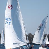 Spiegelplas 2017 _1230526 (Medium)