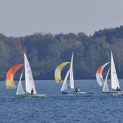 Spiegelplas 2017 _1230113 (Medium)