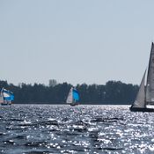 Spiegelplas 2017 _1230651 (Medium)