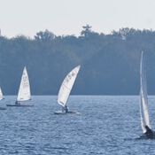 Spiegelplas 2017 _1230272 (Medium)
