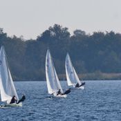 Spiegelplas 2017 _1230215 (Medium)