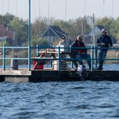 Spiegelplas 2017 _1230889 (Medium)
