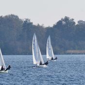 Spiegelplas 2017 _1230212 (Medium)