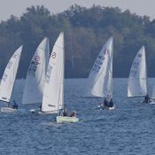 Spiegelplas 2017 _1230038 (Medium)
