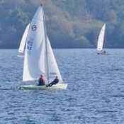 Spiegelplas 2017 _1230169 (Medium)
