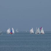 EK 2019 in Workum DSC06449 (Medium)