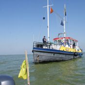 EK 2019 in Workum DSC06507 (Medium)