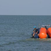 EK 2019 in Workum DSC06466 (Medium)