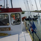 EK 2019 in Workum DSC06455 (Medium)