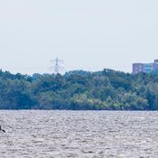 Vrijbuiter weekend - Loosdrechtse plassen - 2025 WhatsApp Image 2025-07-06 at 15.02.38 (1)