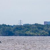 Vrijbuiter weekend - Loosdrechtse plassen - 2025 WhatsApp Image 2025-07-06 at 15.02.38 (2)