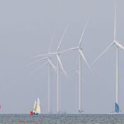 Europees Kampioenschap Javelin - Workum 2025 WhatsApp Image 2025-07-20 at 23.26.11 (8)