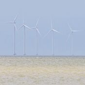 Europees Kampioenschap Javelin - Workum 2025 WhatsApp Image 2025-07-20 at 23.26.40 (3)